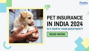 Pet insurance 2024